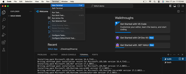 terminal and install the .NET MAUI workload