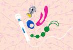 Risks of using sex toys